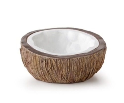코코넛 물그릇