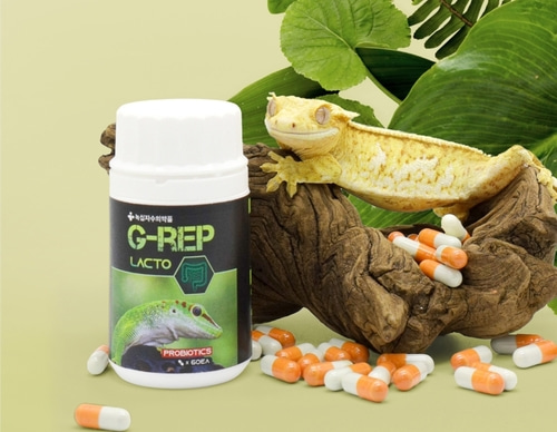 G-REP LACTO 지렙락토 파충류전용 녹십자수의약품 유산균제